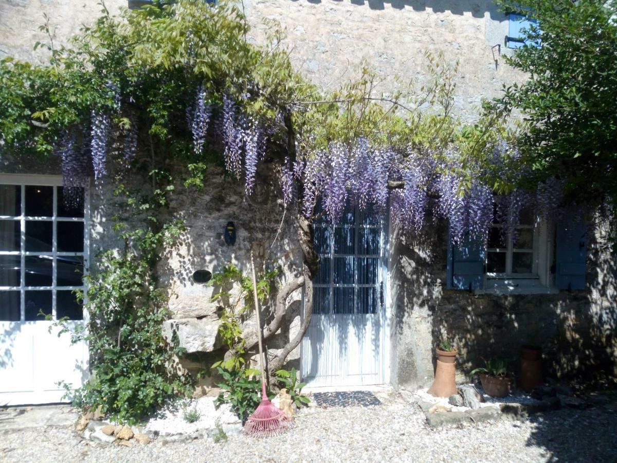 Chat Noir Gite Et Chambre D'Hotes Genouille  外观 照片